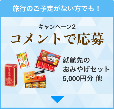 旅行のご予定がない方も！キャンペーン2コメントで応募！就航先のおみやげセット5,000円分他